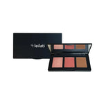 Load image into Gallery viewer, Pro Cheek Palette.png

